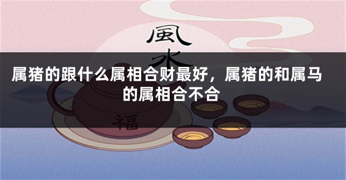 属猪的跟什么属相合财最好，属猪的和属马的属相合不合