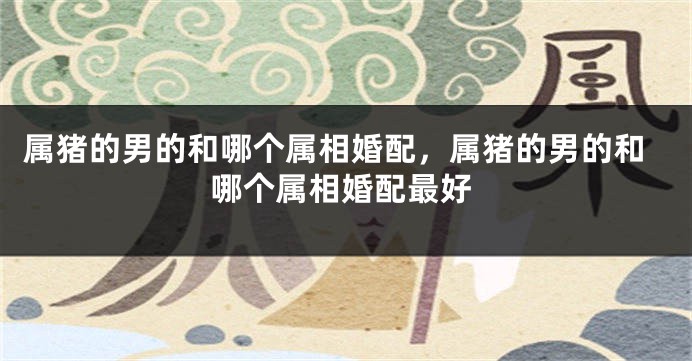 属猪的男的和哪个属相婚配，属猪的男的和哪个属相婚配最好