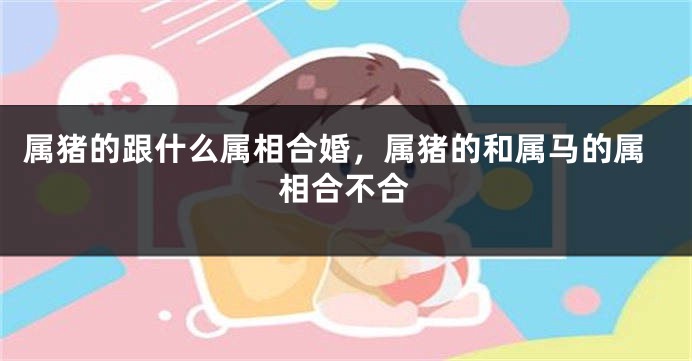 属猪的跟什么属相合婚，属猪的和属马的属相合不合