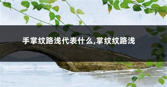 手掌纹路浅代表什么,掌纹纹路浅