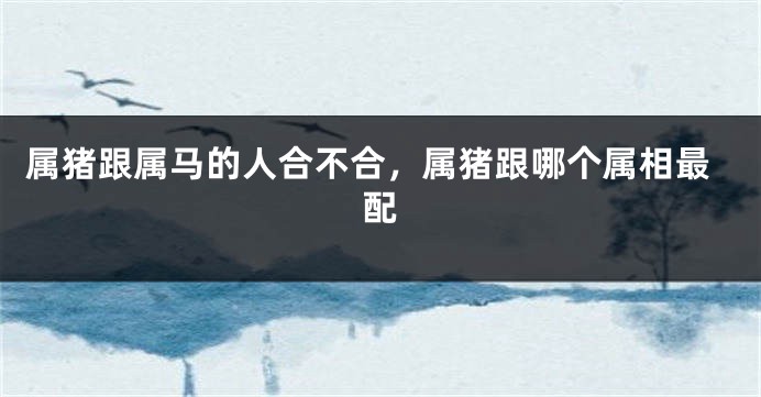 属猪跟属马的人合不合，属猪跟哪个属相最配