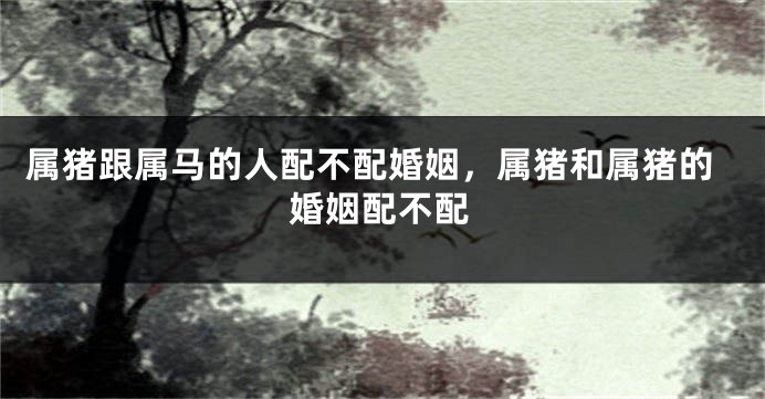 属猪跟属马的人配不配婚姻，属猪和属猪的婚姻配不配