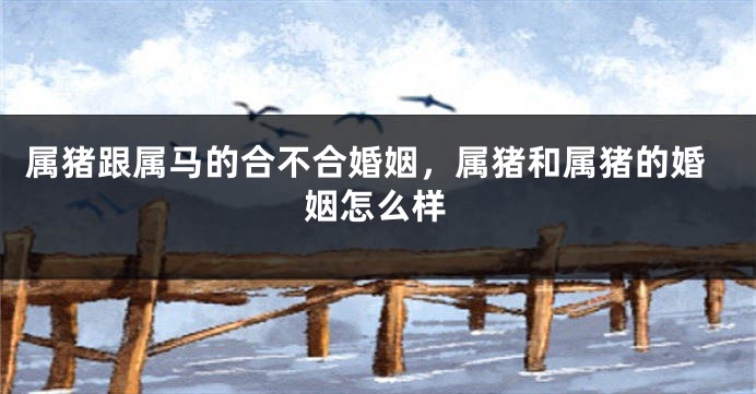 属猪跟属马的合不合婚姻，属猪和属猪的婚姻怎么样