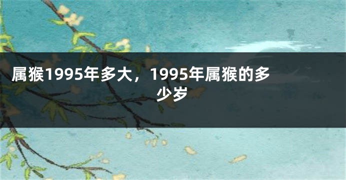 属猴1995年多大，1995年属猴的多少岁