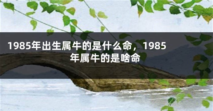 1985年出生属牛的是什么命，1985年属牛的是啥命