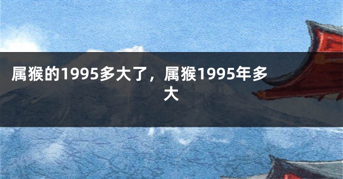 属猴的1995多大了，属猴1995年多大