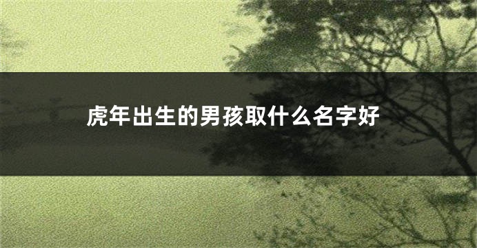 虎年出生的男孩取什么名字好
