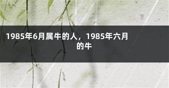 1985年6月属牛的人，1985年六月的牛