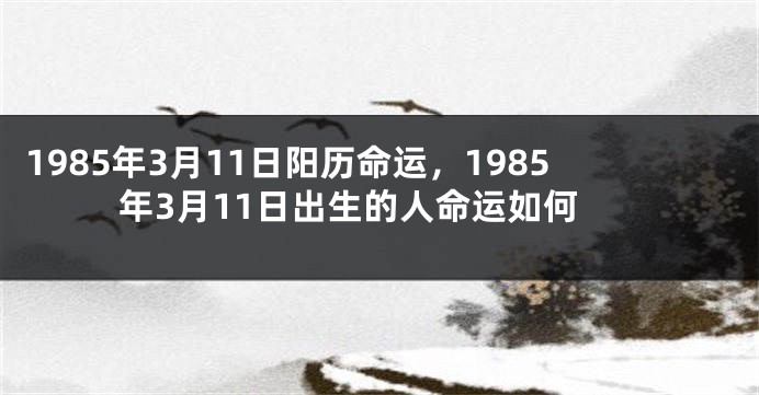 1985年3月11日阳历命运，1985年3月11日出生的人命运如何