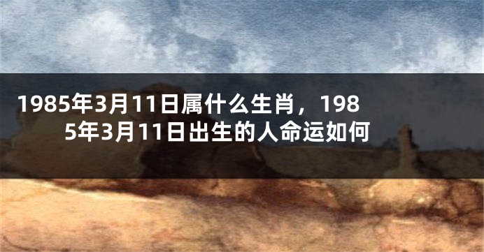 1985年3月11日属什么生肖，1985年3月11日出生的人命运如何