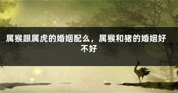 属猴跟属虎的婚姻配么，属猴和猪的婚姻好不好
