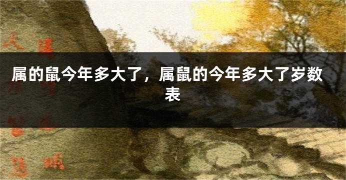 属的鼠今年多大了，属鼠的今年多大了岁数表