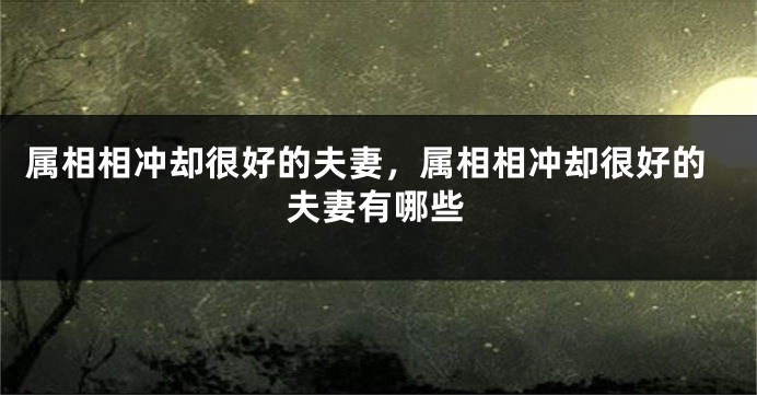 属相相冲却很好的夫妻，属相相冲却很好的夫妻有哪些