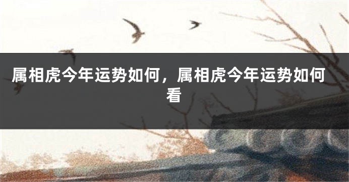属相虎今年运势如何，属相虎今年运势如何看