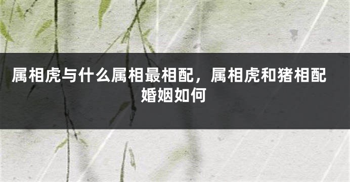 属相虎与什么属相最相配，属相虎和猪相配婚姻如何