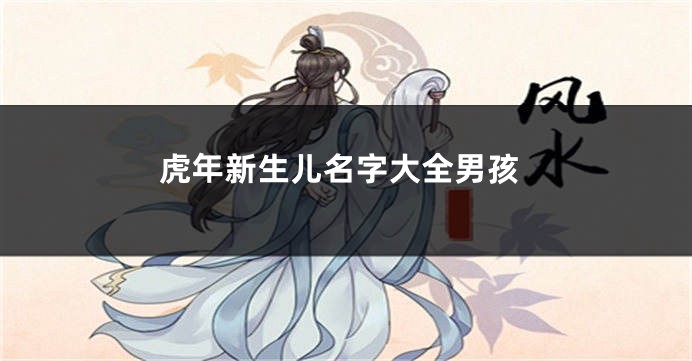 虎年新生儿名字大全男孩