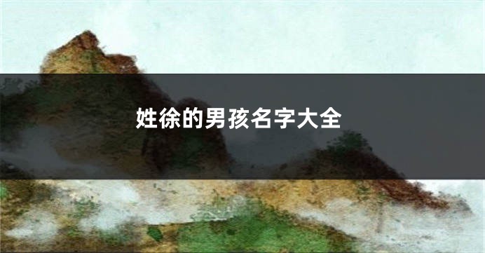 姓徐的男孩名字大全
