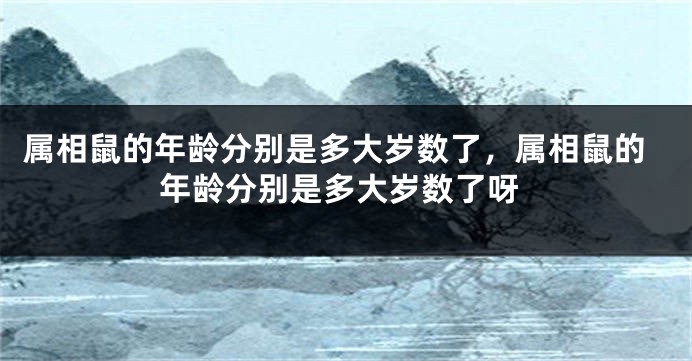 属相鼠的年龄分别是多大岁数了，属相鼠的年龄分别是多大岁数了呀