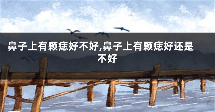 鼻子上有颗痣好不好,鼻子上有颗痣好还是不好