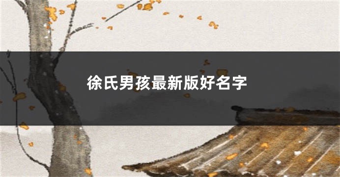 徐氏男孩最新版好名字