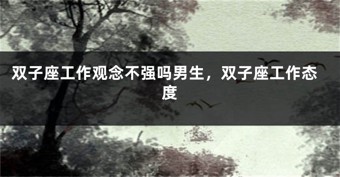 双子座工作观念不强吗男生，双子座工作态度