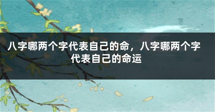 八字哪两个字代表自己的命，八字哪两个字代表自己的命运