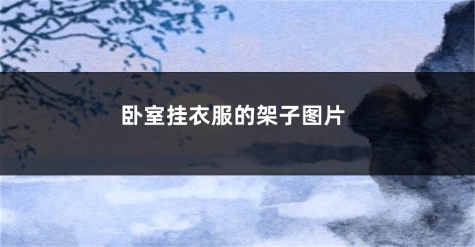 卧室挂衣服的架子图片