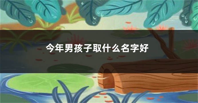 今年男孩子取什么名字好