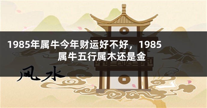 1985年属牛今年财运好不好，1985属牛五行属木还是金