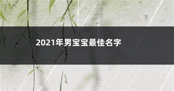 2021年男宝宝最佳名字