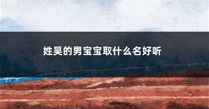 姓吴的男宝宝取什么名好听