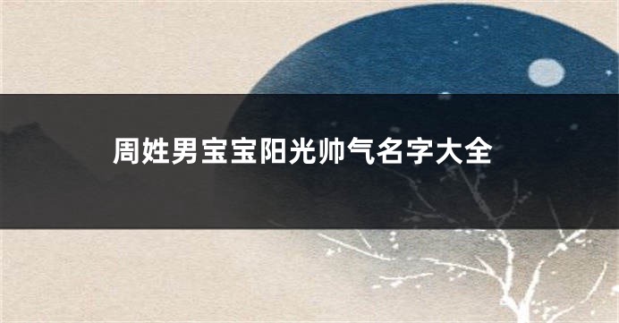 周姓男宝宝阳光帅气名字大全
