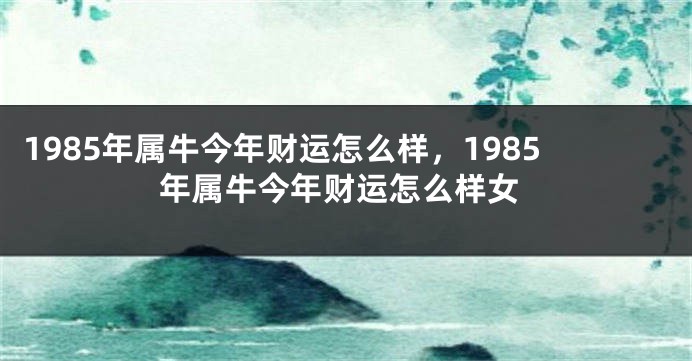 1985年属牛今年财运怎么样，1985年属牛今年财运怎么样女