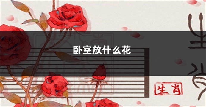 卧室放什么花
