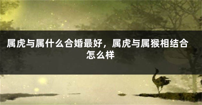 属虎与属什么合婚最好，属虎与属猴相结合怎么样