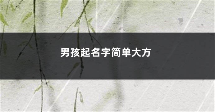 男孩起名字简单大方