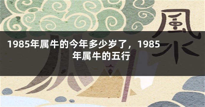 1985年属牛的今年多少岁了，1985年属牛的五行