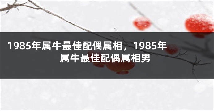 1985年属牛最佳配偶属相，1985年属牛最佳配偶属相男
