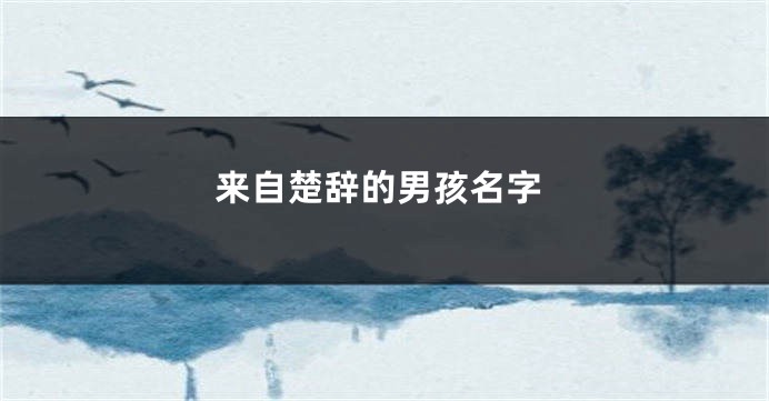 来自楚辞的男孩名字