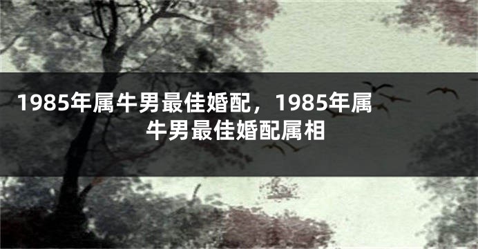 1985年属牛男最佳婚配，1985年属牛男最佳婚配属相