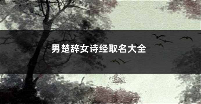 男楚辞女诗经取名大全