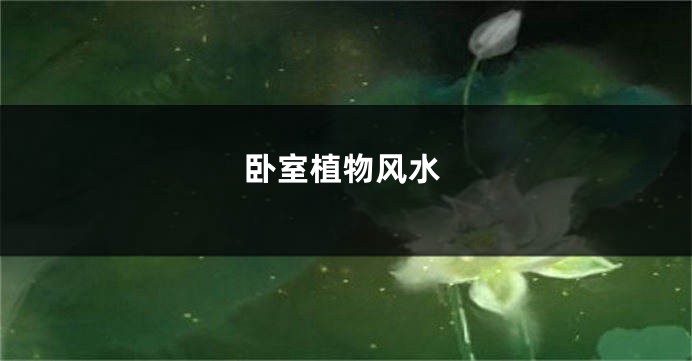 卧室植物风水