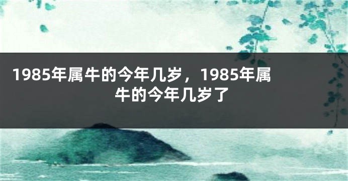 1985年属牛的今年几岁，1985年属牛的今年几岁了