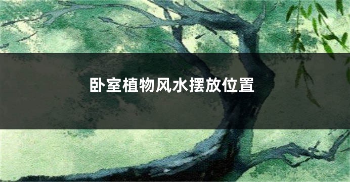 卧室植物风水摆放位置