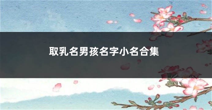取乳名男孩名字小名合集