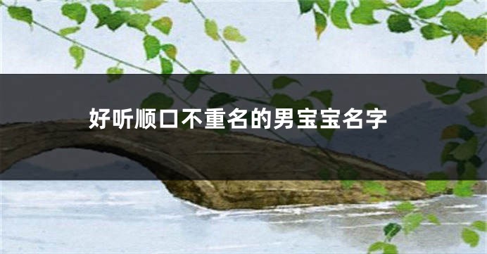 好听顺口不重名的男宝宝名字