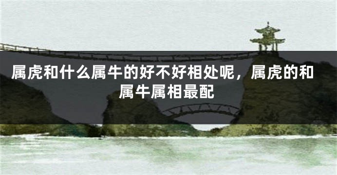 属虎和什么属牛的好不好相处呢，属虎的和属牛属相最配