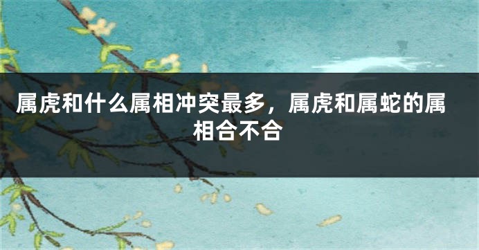 属虎和什么属相冲突最多，属虎和属蛇的属相合不合
