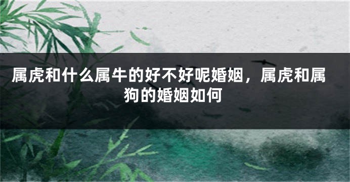 属虎和什么属牛的好不好呢婚姻，属虎和属狗的婚姻如何
