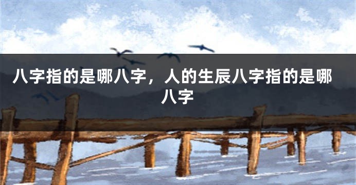 八字指的是哪八字,人的生辰八字指的是哪八字